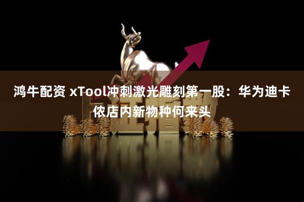 鸿牛配资 xTool冲刺激光雕刻第一股：华为迪卡侬店内新物种何来头